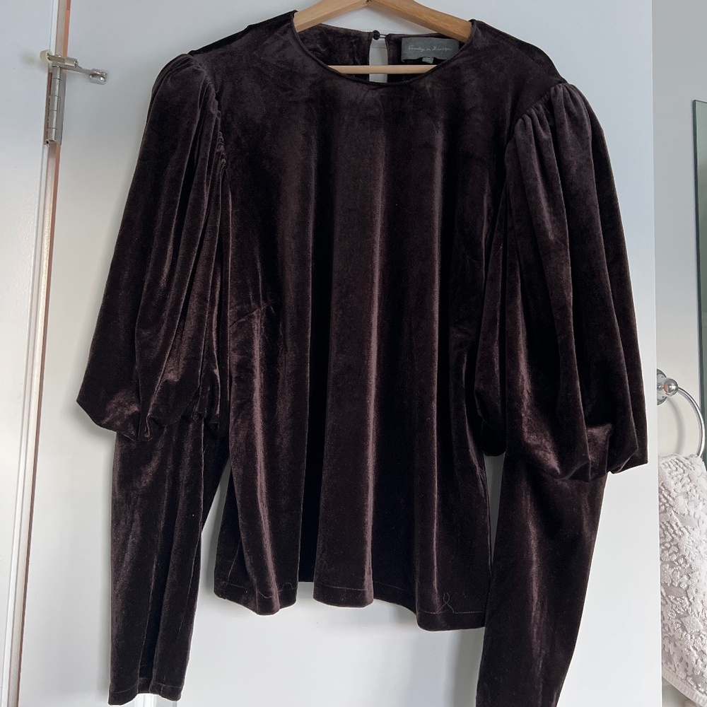 Chocolate Brown Velvet Top